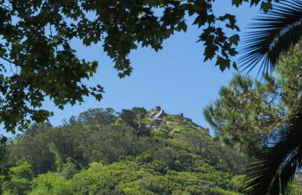 Luxurious royal estate in historic Sintra paradise - Foto 64