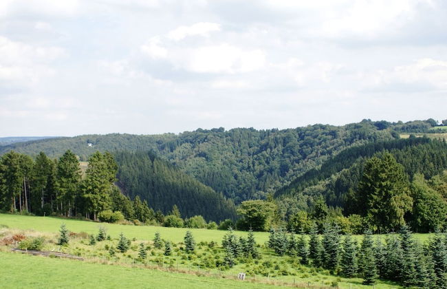 Chalet in Ardennes Near Forest Trails - Foto 16