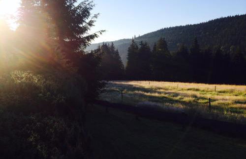 Ferienhaus Bruno - Südhanglage mit 2 Schlafzimmern - Foto 17
