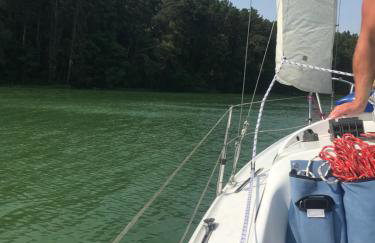 Mielno 77 Dom wakacyjny na Mazurach - Foto 34