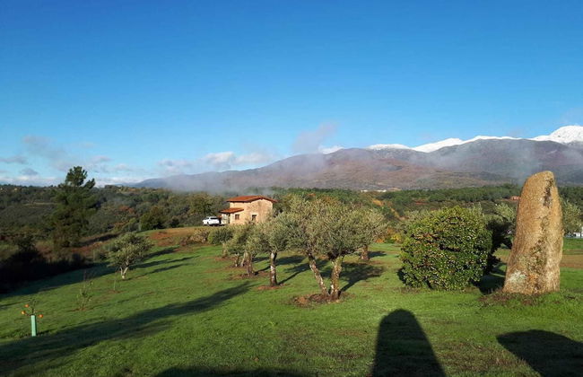 Sakura Vera - Foto 49