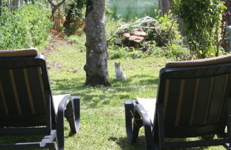 Loft Caminha - Foto 12