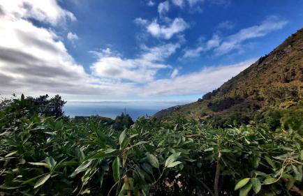 Casa Rural La Resbala - Casa Tajinaste - Foto 24