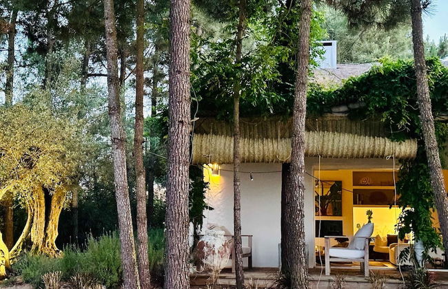 Cabana Lavanda Comporta by Boutique - Foto 49