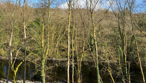 River Vista Retreat - Luxury duplex Apt - Views - Parking - Cycle storage - Spa access option - Foto 5