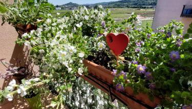 Gelsy House - Foto 3