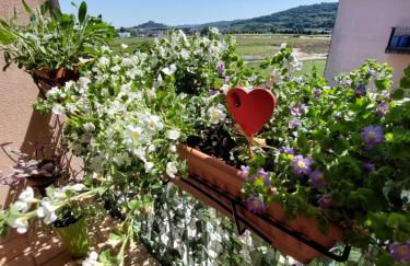 Gelsy House - Foto 3