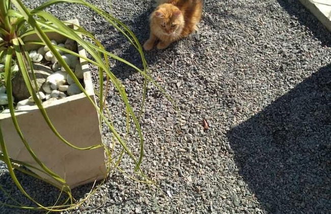 Casa Aconchegante Lazer e Descanso - Foto 21