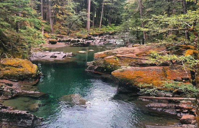 Packwood Ski & Vacation Getaway - Foto 20