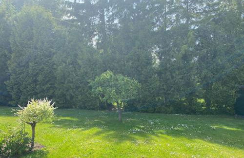 Klein Windhoek auf Rügen - Foto 3