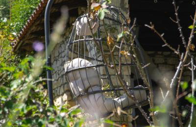 Villa Tethys Mountain Resort - Foto 12