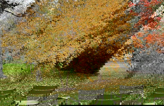 Charming Apartment in Montparnasse - 2p/1br - Foto 32