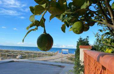 Villa Playa de Turmalina - Denia El Verger - Foto 49