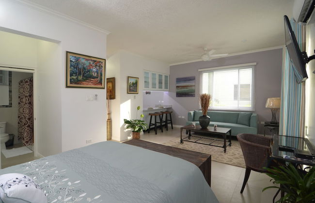 New Kingston Central Guest Apartment - Photo 2