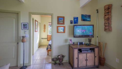 The Pineapple Express Hot Tub Volcano 65 Mi Away - Foto 5