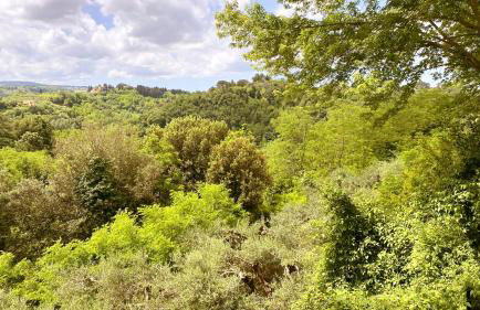 La Tonnaia - Foto 69