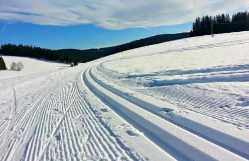 Outdoor & Relax Blackforest - Foto 36