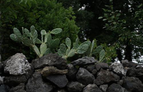 Aetna Silva - Photo 28