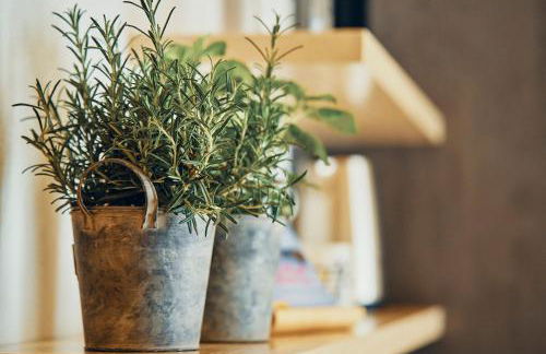 Echt Zeit Apartments - Foto 79