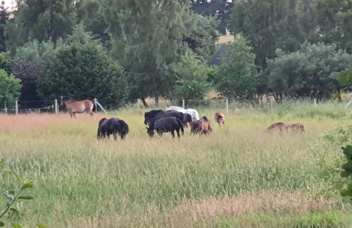 Domek nad jeziorem - Foto 33