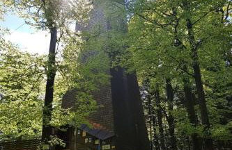 Apartment Charmante Wohnung in Langfurth mit Kleinem Balkon by Interhome - Foto 21