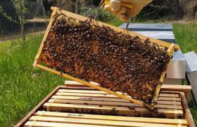 Fogar do Pumar - Foto 27