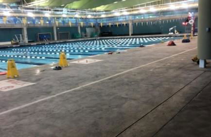 Echo Park Enclave: Cozy Studio Retreat in the Heart of LA - Foto 2