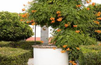 LA CUADRA, Finca a los pies de Sierra Nevada, a 10 minutos del centro, Piscina, Jardín, Barbacoa - Foto 44