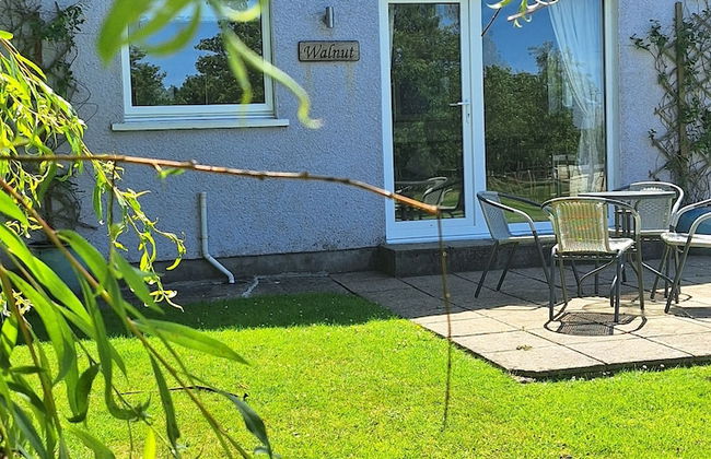 Thornbury Holiday Park - Foto 60