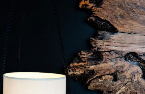 wecamp Reserva Alecrim - Foto 148