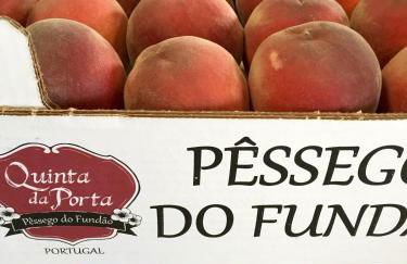 Quinta da Porta - Solar de Vale de Prazeres - Foto 49