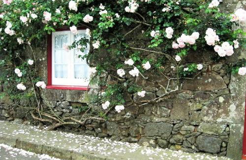 Casa da Roseira - Photo 13