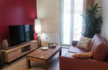 Les appartements du centre, refaits à neuf, climatisés, hyper centre, 50m à pieds des commerces, restaurants, parking gratuit - Foto 7