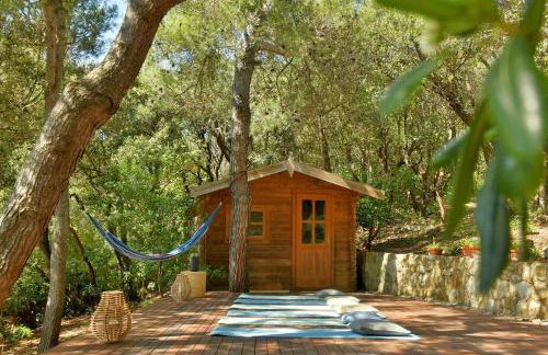 Villa Sorriso mit Pool direkt am Meer - Foto 18