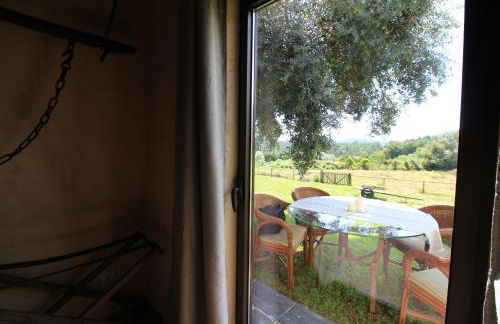 Casa de Vilar de Rei, a tranquilidade do mundo rural - Photo 31