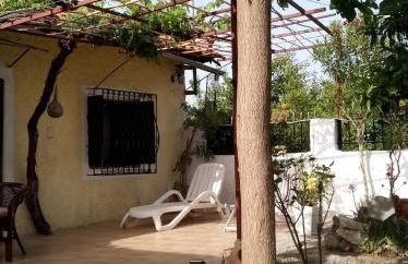 Panos and Chrisas House - Foto 8