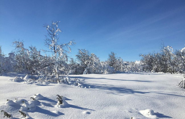 4 Person Holiday Home in Geilo-by Traum - Photo 9