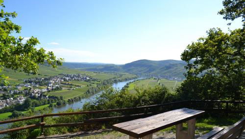 Weingut Mathy-Schanz - Photo 4