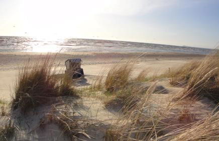 5 Sterne Luxusdomizil im Dünenland - Foto 39