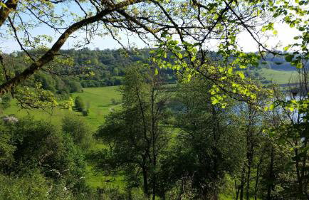 Ferienhaus Eifelhöhe mit Maarpanorama - Foto 22