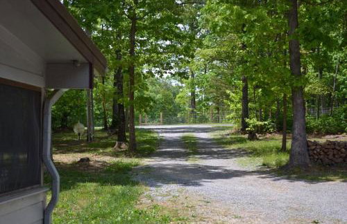 The Bird House near Fall Creek Falls State Park - Foto 36