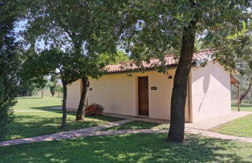 Il Podere di Sole - Foto 64