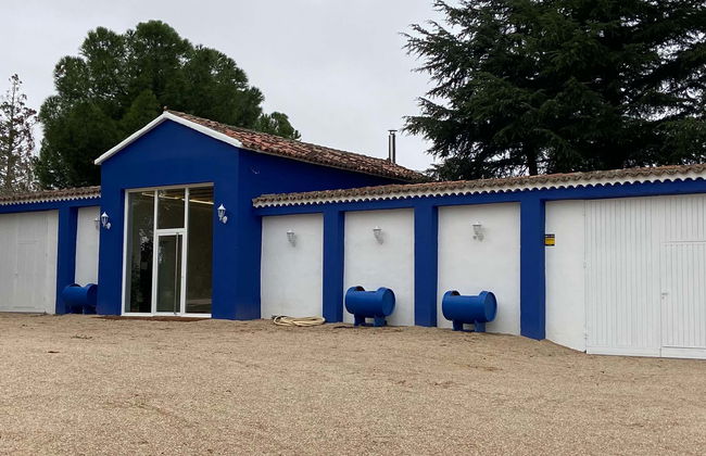 Visite du domaine viticole Rodríguez y Sanzo à Rueda - Photo 6