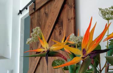 La Barrosa duplex - Foto 30