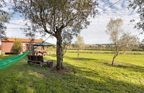 Casa da Lagoa Pateira - Foto 22