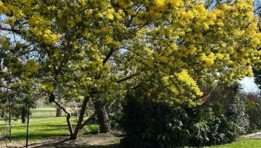 Maison Dream in Marciac - Photo 3