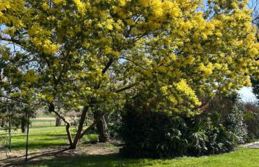 Maison Dream in Marciac - Photo 3