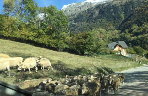 La Belledone à Vaujany - Foto 17