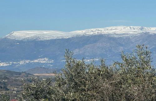 Sofiamarholidays O Cantinho da Avó Bina - Foto 67