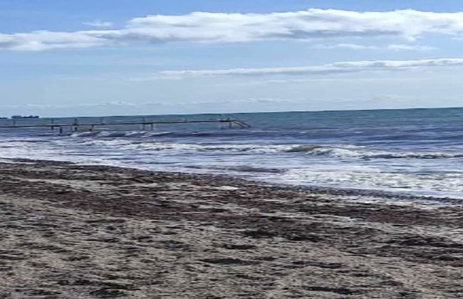 Seaside Serenity in Faldsled-by Traum - Foto 17